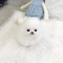 Prodám štěňata čistokrevného šálku pomeranian