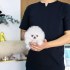Nádherný šálek štěňat pomeranian na prodej