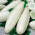 Okurka salátová Mezzo Lungo Bianco - semena