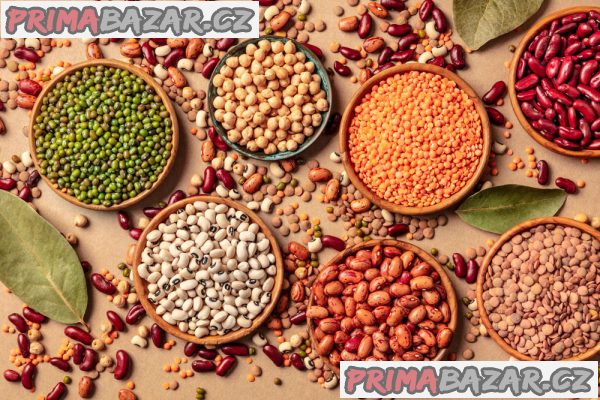 SUNFLOWER OIL SUPPLIER | TANKO GROUP LIMITED TANZANIA | White Corn (Maize).  tankogrouplimitedtz.com – fotografie 2