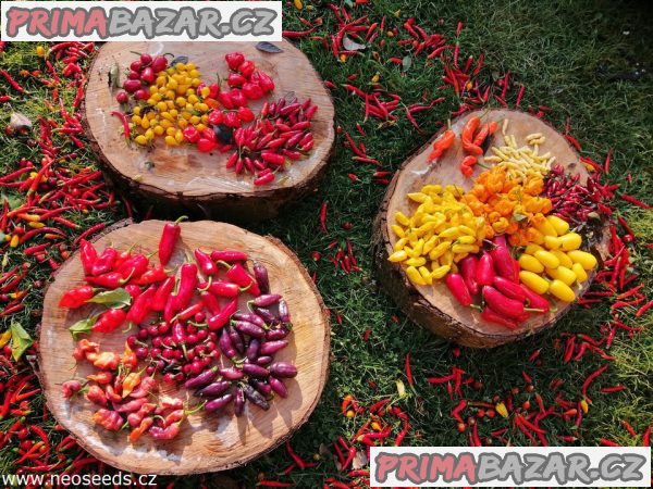 Chilli - MIX cca 100 semen 30 druhů  - semena – fotografie 1