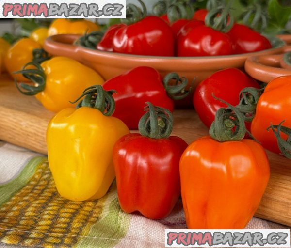 Rajče Appleberry F1 ORANGE - semena – fotografie 1