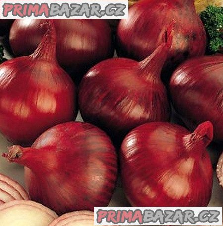 cibule Karmen - semena – fotografie 1