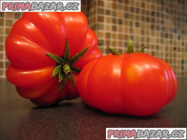 Rajče Costoluto Fiorentino - semena – fotografie 1