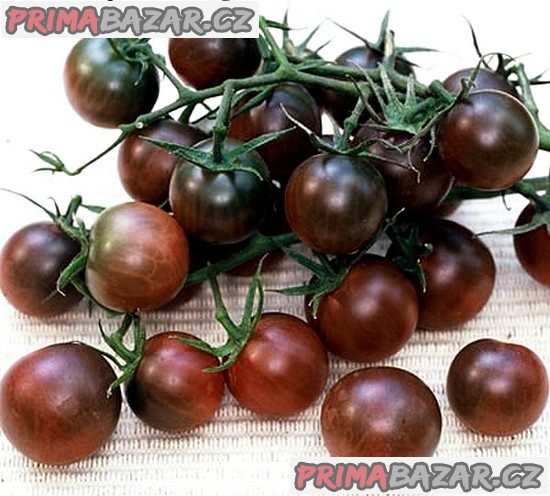 Rajče Black Cherry - semena – fotografie 1