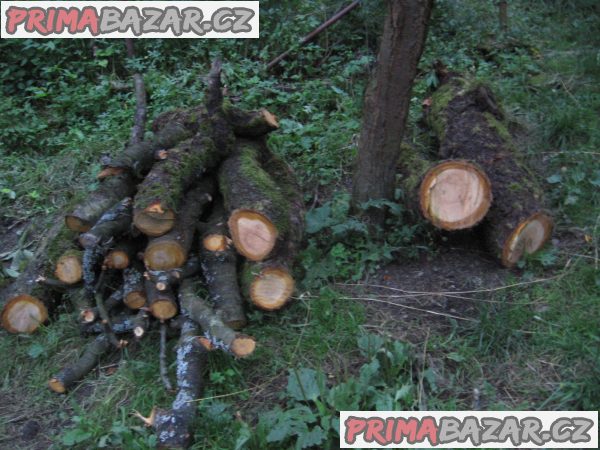 dřevo třešeň a mix různé – fotografie 1
