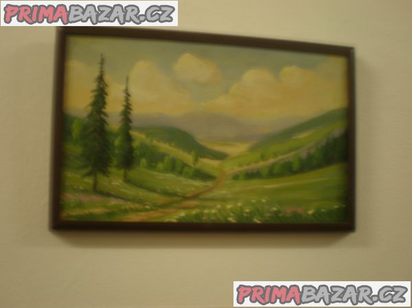 OBRAZ KRAJINA – fotografie 1