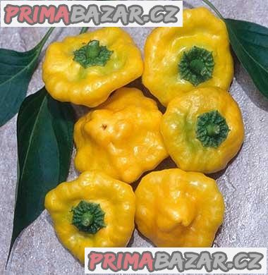 Chilli Jamaican Yellow - semena – fotografie 1